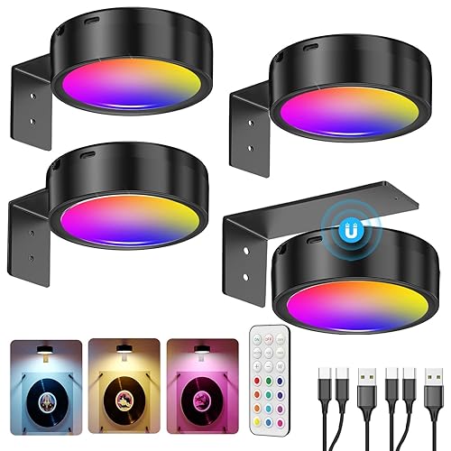 RGB wall mounted picture lights