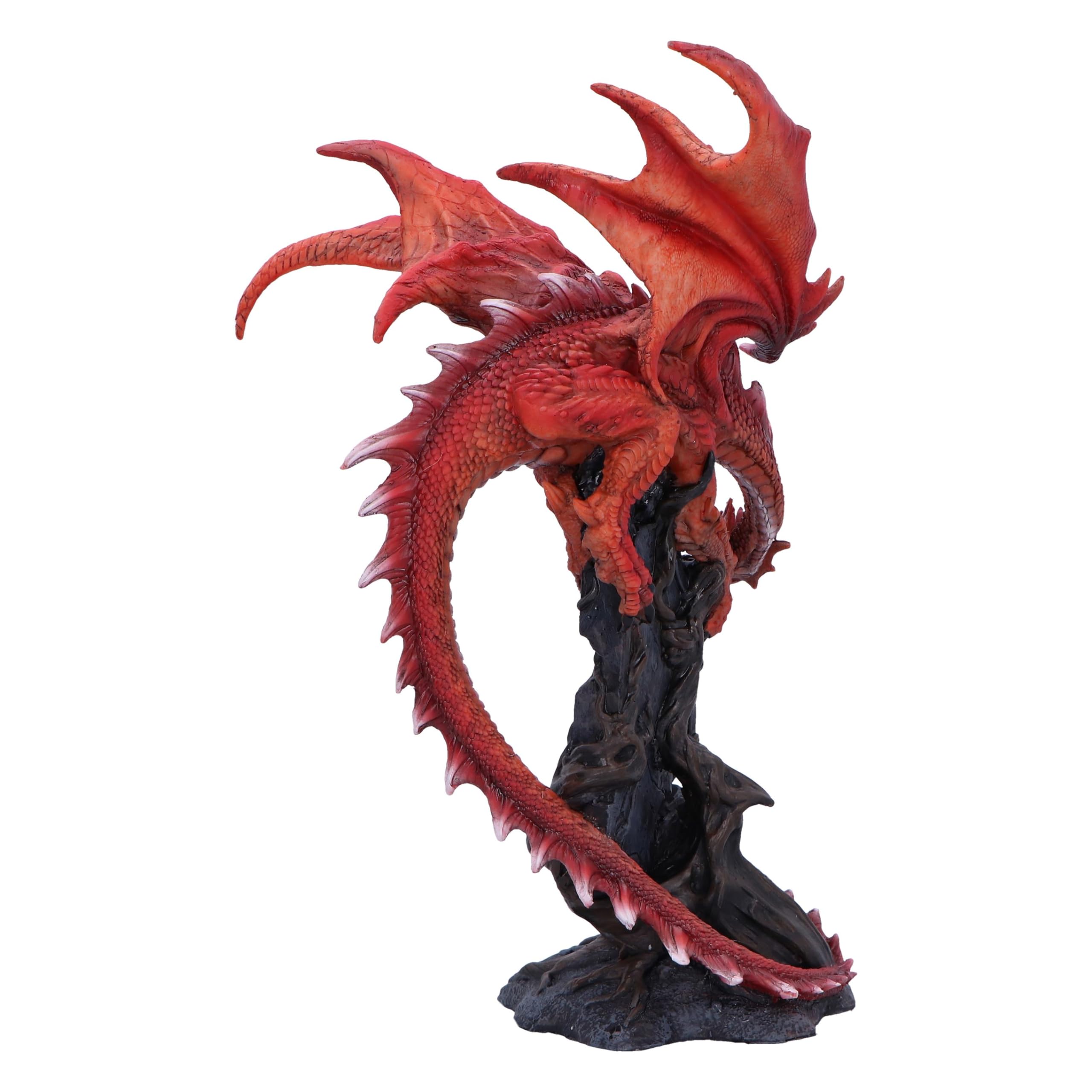 Nemesis Now Figura di radici draconiche 28,5 cm, resina, drago rosso su pietra, ornamento drago rosso, regalo da collezione, fuso in resina di alta qualità, sapientemente dipinto a mano