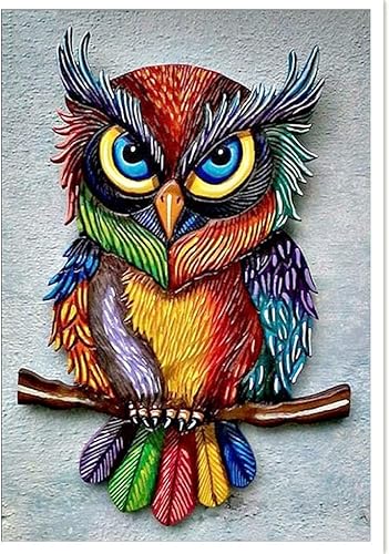 SUNKOO Kit de pintura de diamante de búho para adultos, pintura de taladro completo con diamantes, búho, diamantes de imitación, kit de arte de