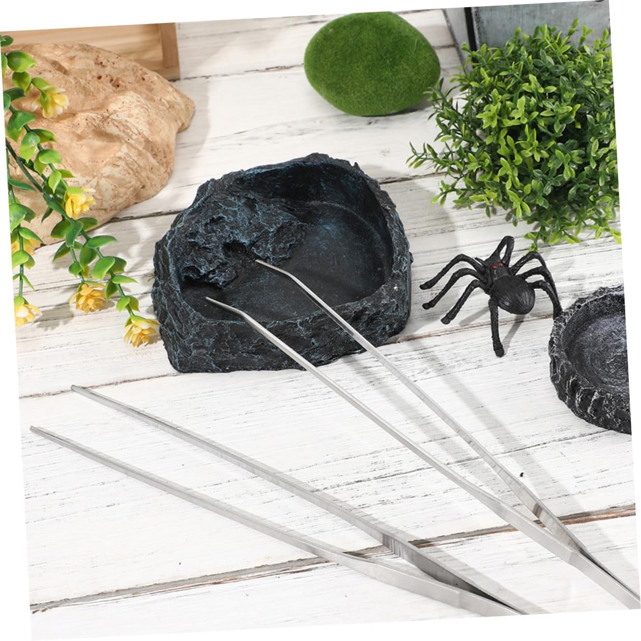 Balacoo Reptile Feeding Dish and Water Bowl Set with Large and Small Bowls and 27cm Curved Tweezers for Bearded Dragons, Tortoises, Snakes, and Hermit Crabs in Terrarium