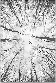 Nature Landscape Wall Art - Black and White Canvas Posters - Fog Nature Come Together Painting Print Modern Artwork Decor Gift for Home Apartment Living Room Home Wall Decoration, 16x24inch Unframed