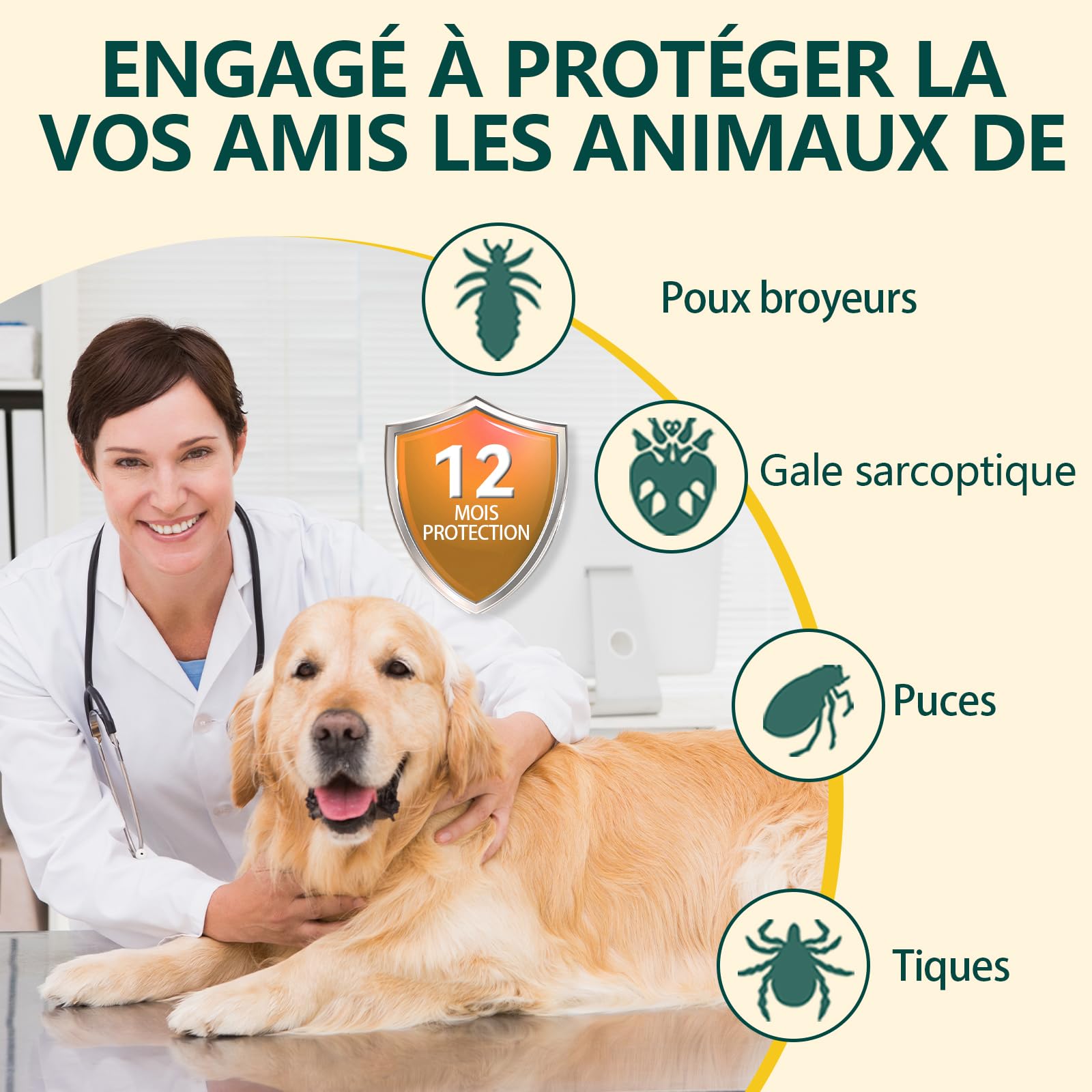 2pack Collier Anti Puces pour Chien, 12 Mois De Protection Efficace, Collier Anti Tique Chien 65cm, Réglable Et Étanche, Convient Aux Chiens De Toutes Tailles (65cm*2)