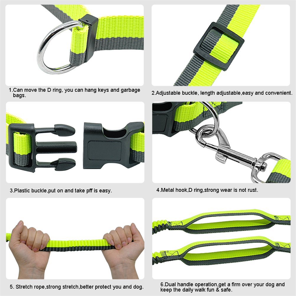 Hands Free Dog Leash Free Control Waist Dogs Bungee Retractable Leashes Small to Large Pet Leads for Running Jogging Walking Green M