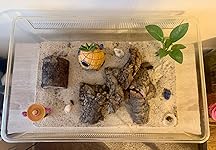 Review Image by Gavin Wade Gavin Wade