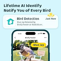 Vista 2 de NETVUE by Birdfy Smart Bird Feeder with Camera – AI Identifies Birds Species 2MP Night Vision & App Alerts, 2.4Ghz Wi-Fi Connect IP65 Weatherproof