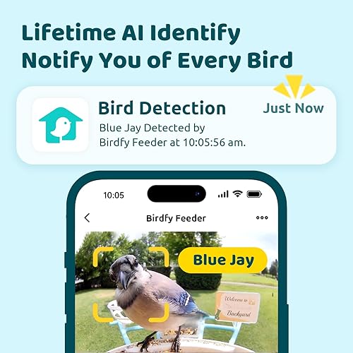 Miniatura 2 de NETVUE Birdfy AI - Comedero inteligente para pájaros con cámara, alimentado por energía solar, captura e identificación automática de IA de por vida