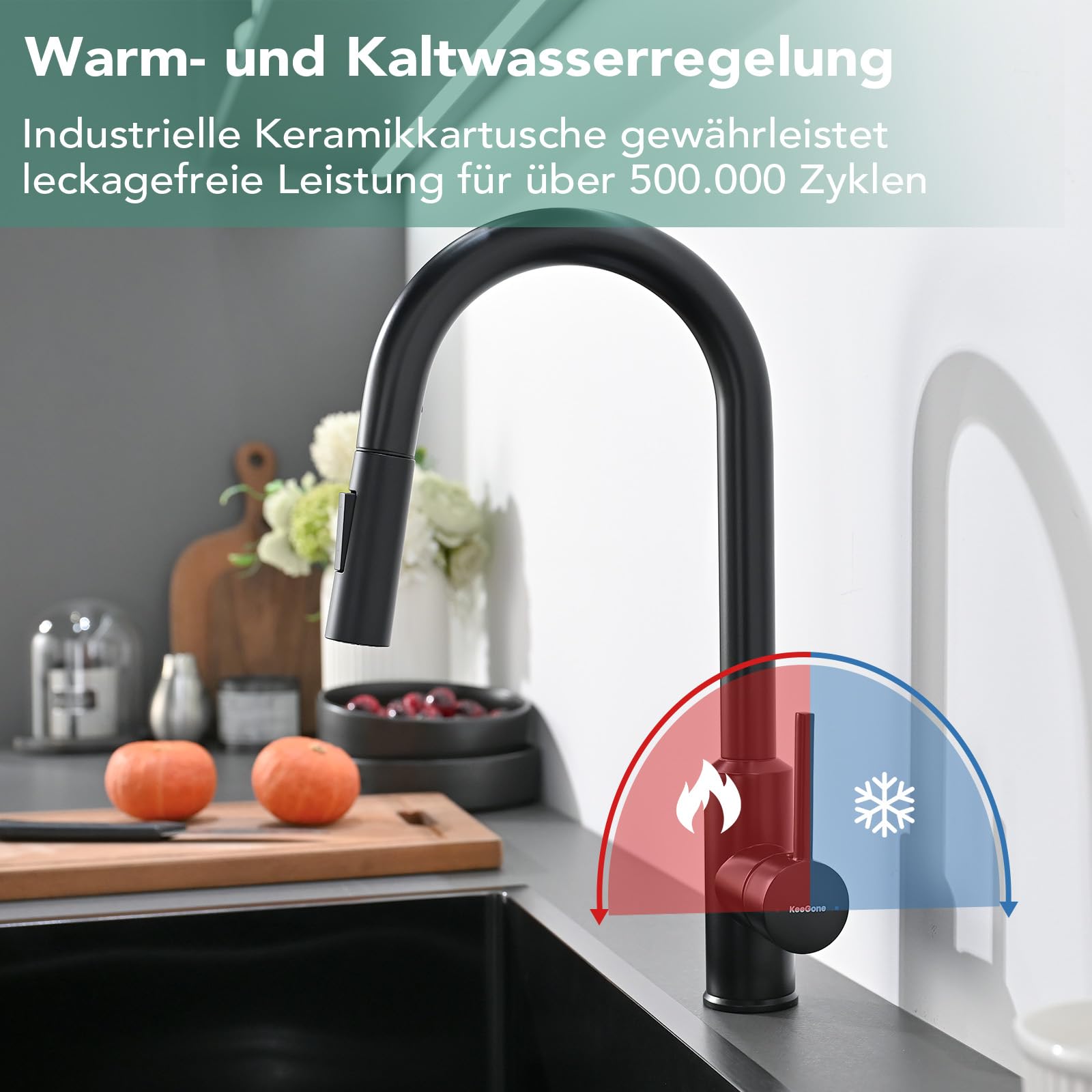 Wasserhahn Küche, Hochdruck Küchenarmatur mit ausziehbarer Brause Spültischarmatur, ausziehbarer Wasserhahn, 360° schwenkbar zwei Brausefunktionen Edelstahl schwarz