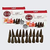 Vista 266 de TRUMIRI Copal Incense Cones - Total 20 Cone Incense - Dual Pack of 10 Insence Cones - Incense Cones Scented - Cone Incense Scents - Insense Cones