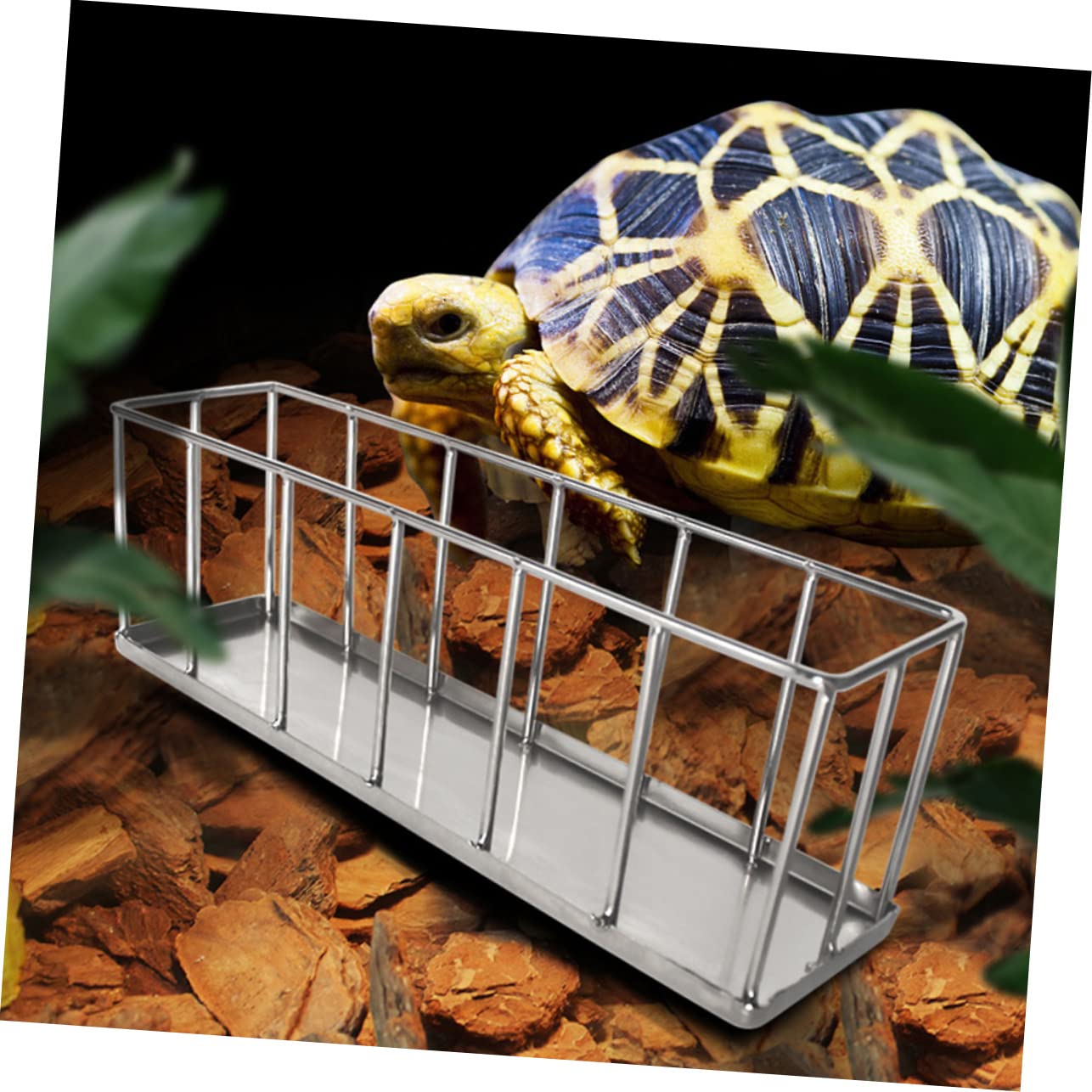Piatto per Rettili in Acciaio Inossidabile Contenitore per Alimenti Barba Mangiatoia Durevole per Lucertole E Animali Domestici
