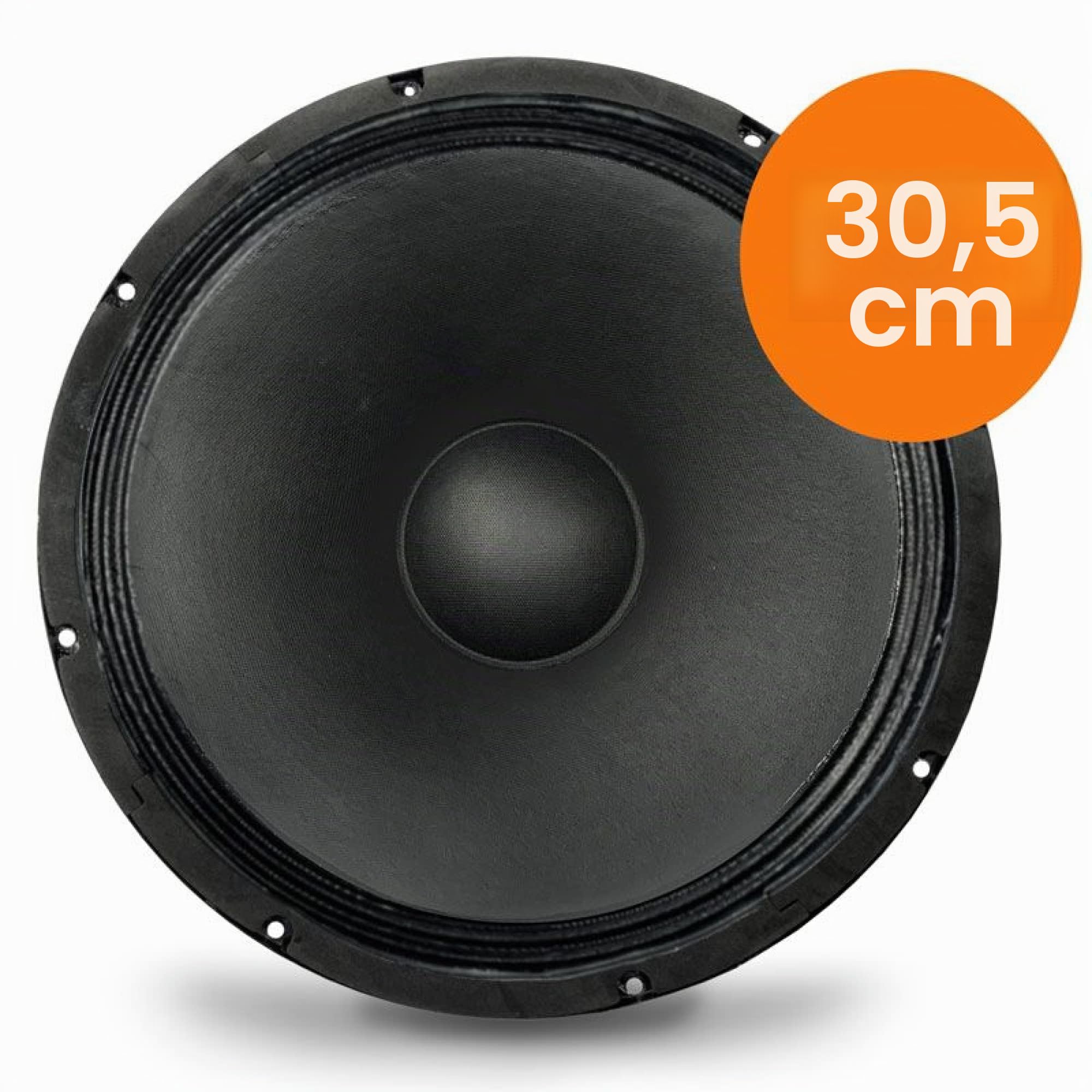 Audibax GR12-DE - Woofer Professionnel 12 Pouces - Haut-Parleur à Suspension Rigide - Subwoofer de Rechange - Impédance 4 Ohms - Puissance 180W RMS avec 360W Maximum - Enceites Coaxiaux