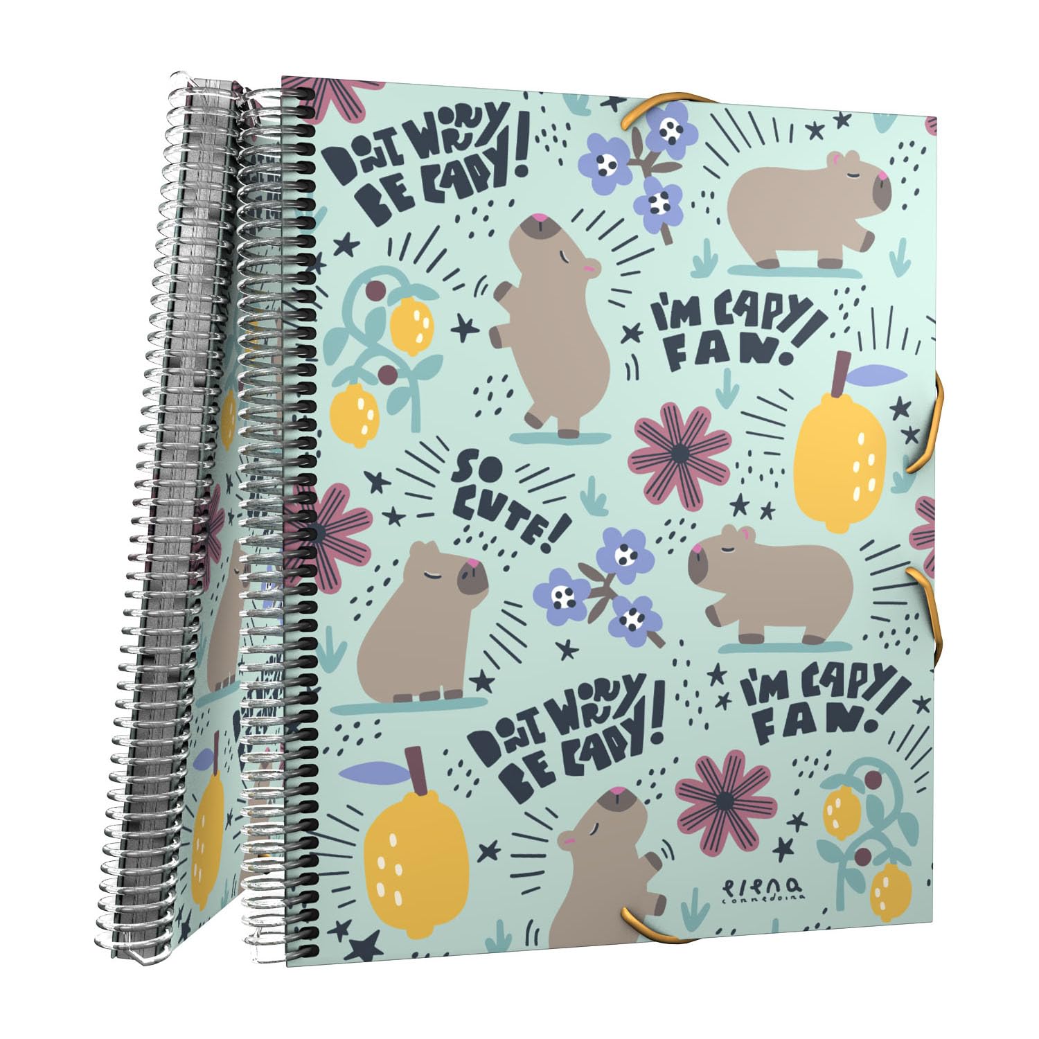Grafoplas - A4 Plastic Folder, Cheerful by Elena Corredoira, Flexible Covers, Spiral PVC, 30 Polypropylene Linings, Maxiplas, Perfect School Supplies for Archiving Documents