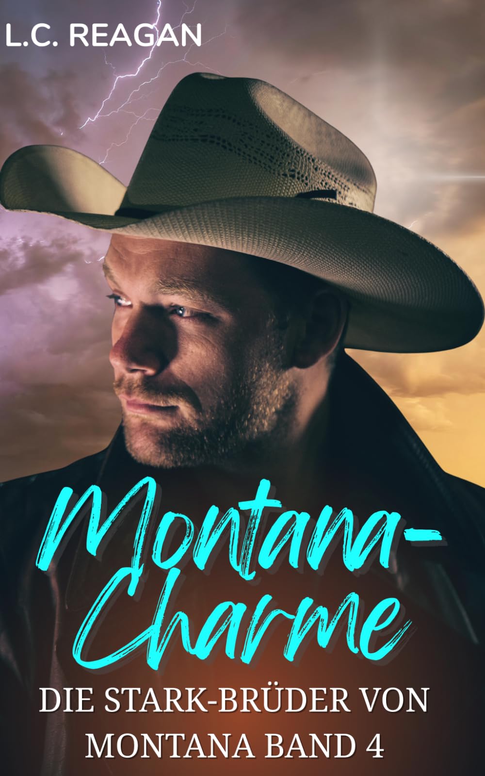 Montana-Charme: Bester Freund des Bruders & Fake Dating Cowboy-Romanze (Nashs Geschichte) (Die Stark-Brüder von Montana)