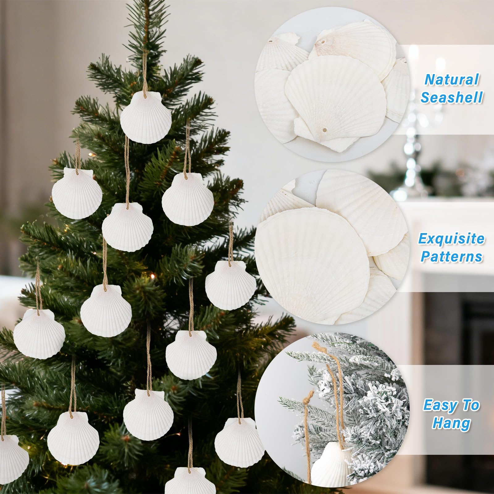 Amazon.co.jp: Sinkoo ハンギングオーナメント ホワイトシェル 天然