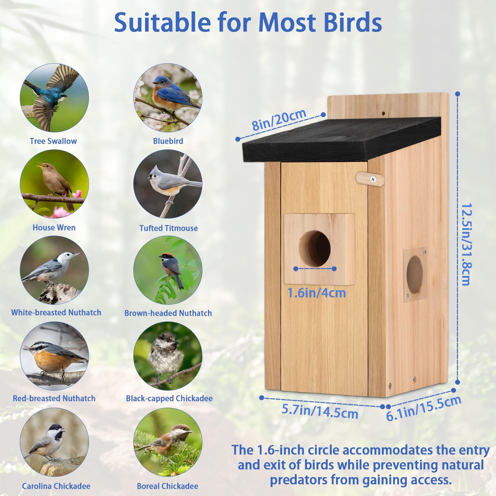 RAINBEAN Casetta Per Uccelli Con Telecamera 4MP - Osservazione Nidi In Tempo Reale Con Visione Notturna - Foto 8