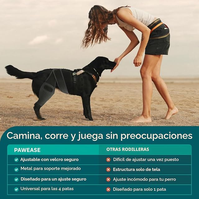 Foto 2 de 7 de QYJLOFMVE Rodillera para Perros, Soporte para Perros Grandes y pequeños Que sufren de ACL, CCL