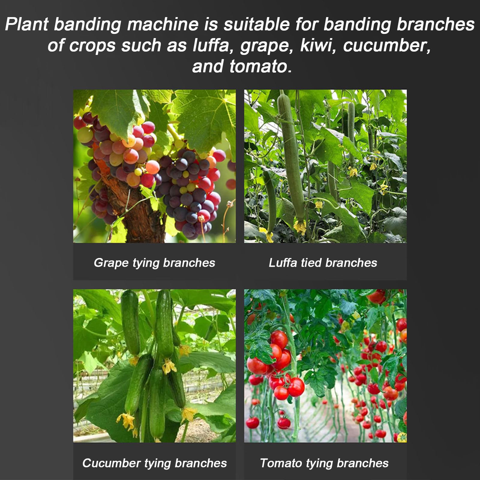 FAXIOAWA Máquina eléctrica para Atar Plantas, para Tomate, UVA, Verduras, Flores, Herramienta portátil para agrupar viñedos, máquina para encuadernación con Cinta de jardinería para Plantas de jardín