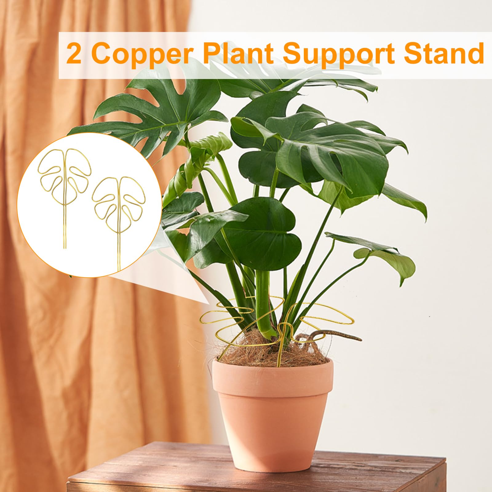 APOMOONS 2 Stck Pflanzensttze, Stammsttzen Pflanzen Sttze fr Monstera  Zimmerpflanzen, Vieltaltige Stngelsttze Dekorative Untersttzung,  Pflanzenstnder fr Zimmer und Auenpflanzen28X15CM: Amazon.de: Garten