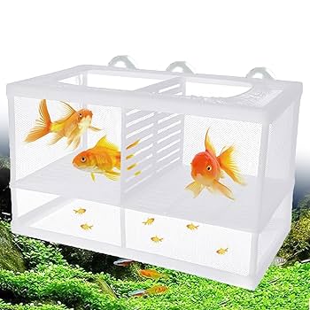 Amazon | 魚 繁殖隔離ボックス 産卵ケース 26*15*15cm 隔離板