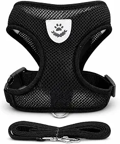 Peitoral para Cachorro e Gato Ajustável, Respirável, com Guia de 1,20m, Faixa Refletiva, Confortável e Seguro (PRETO, M)