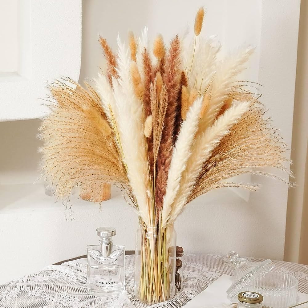 DN Enterprises Dried Pampas Grass for Decoration Vase Pot Home Decor | Natural Looking Pampas Grass Bouquet Decor | Decorative Pampas Grass Set of 6Pcs-picture-11