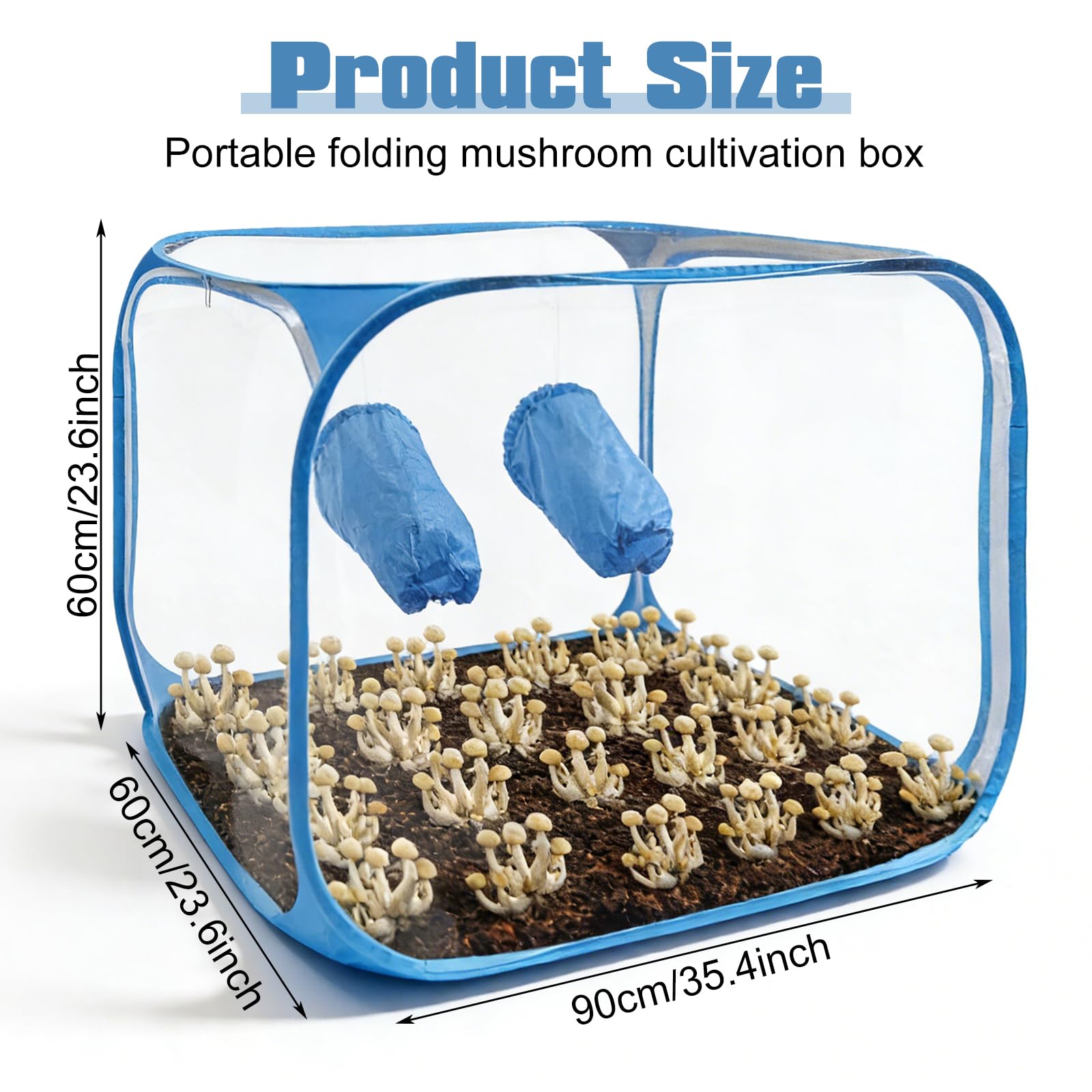 Tragbarer Pilzzuchtbehälter: 60 x 60 x 90 cm Klappbarer Pilzzucht-Stillluftbox mit Zwei Armöffnungen, Pop-up-Pilzzuchtzelt-Kit für Pilzee wie Enoki Pilze, Heilpilze, Pilze im Allgemeinen(Blau)
