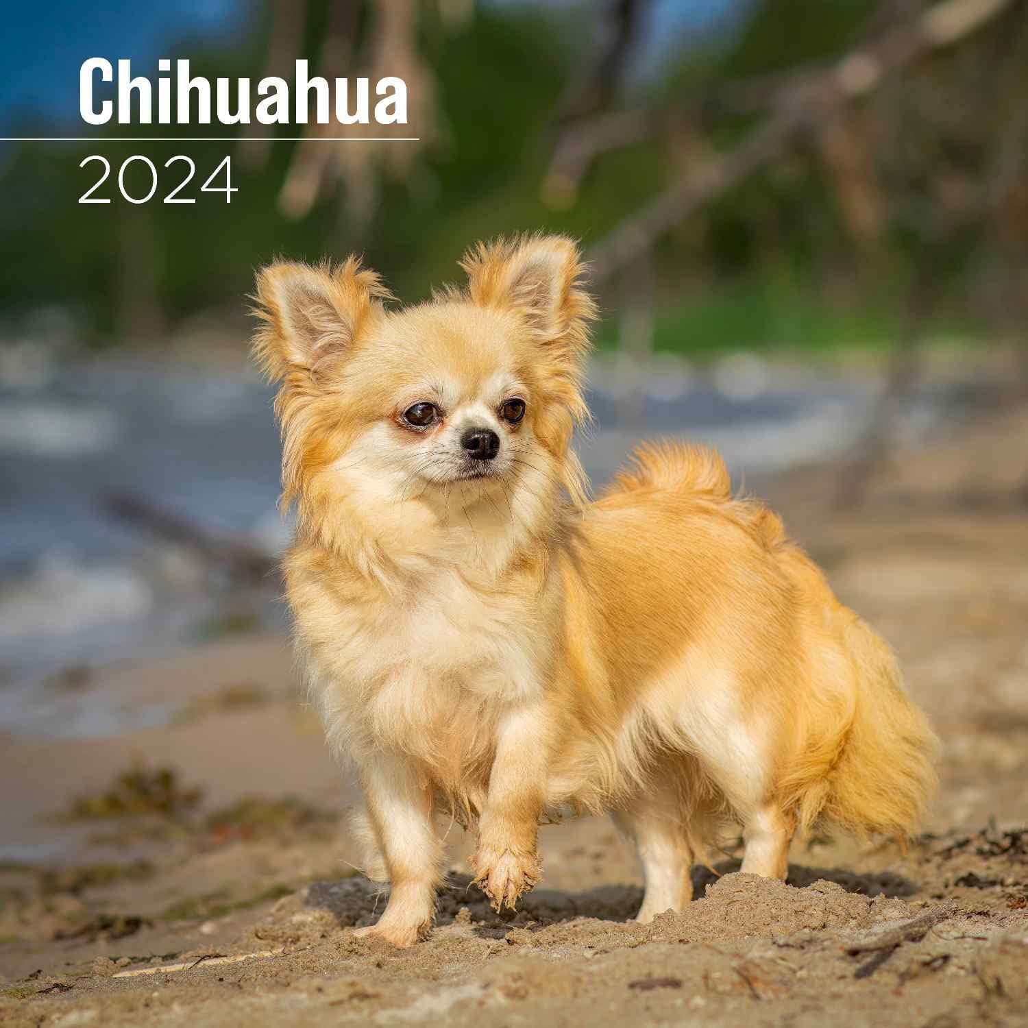 2025 Chihuahua Calendar - Dog Breed Wall Calendar - 12 x 24 Open - Thick No-Bleed Paper - 14 Month Planner Calendar Organizing & Planning