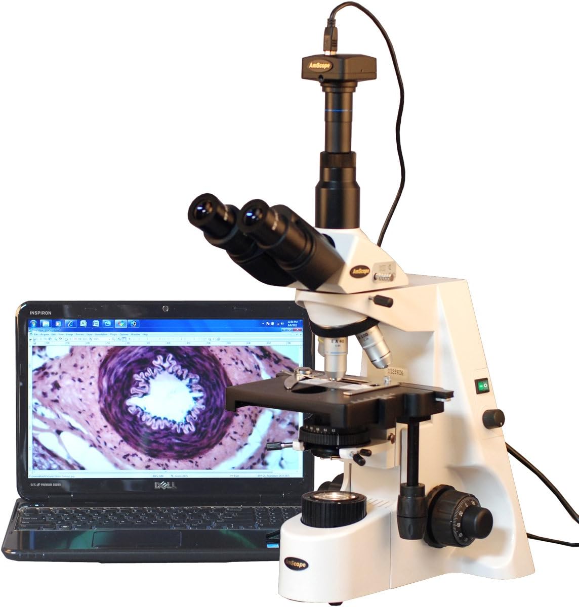 AmScope T690C-PL-10M Digital Trinocular Compound Microscope, 40X-2500X Magnification, WH10x and WH25x Super-Widefield Eyepieces, Infinity Plan Achromatic Objectives, Brightfield, Kohler Condenser, Double-Layer Mechanical Stage, Includes 10MP Camera with Reduction Lens and Software