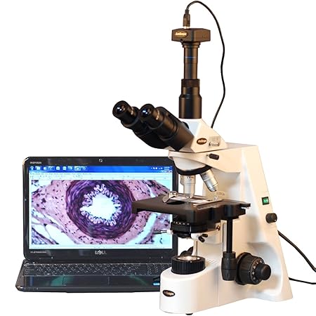 AmScope 40X-2500X Infinity Plan Achromatic Compound Microscope with 10MP Digital Camera