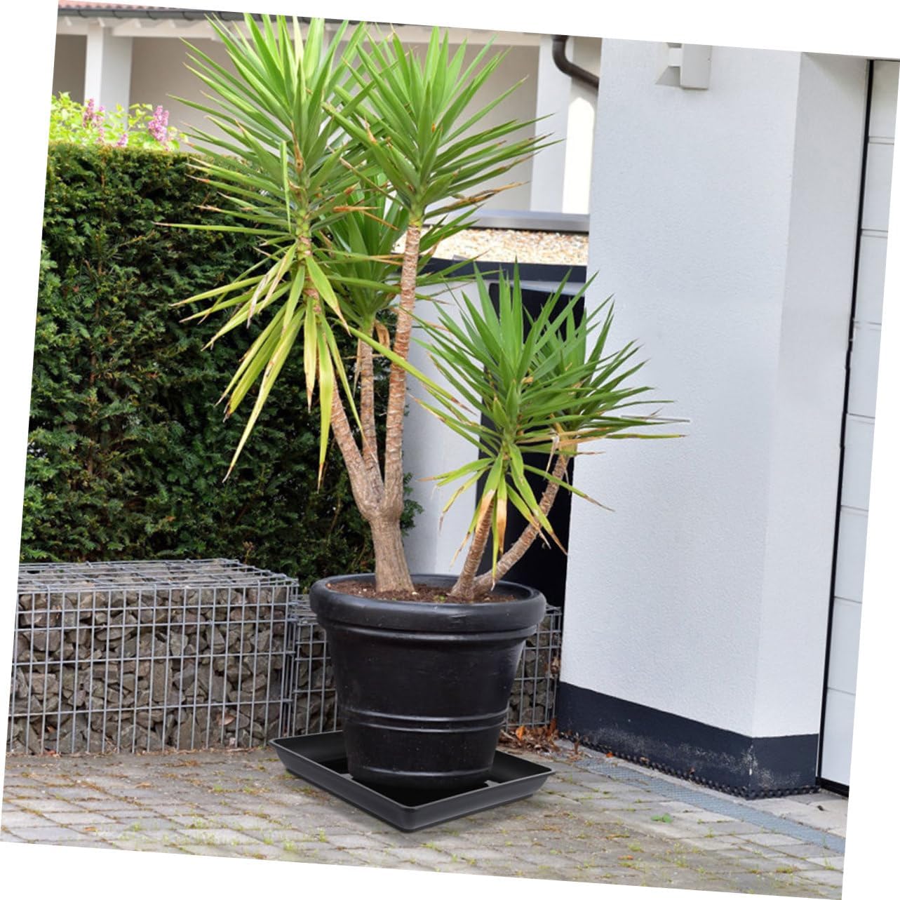 6pcs Heavy Duty Plastic Flower Pot Drip Saucer Square Planter for Garden