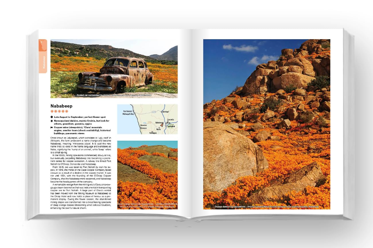 Namaqualand Self-Drive: Namaqualand, Nieuwoudtsville & West Coast