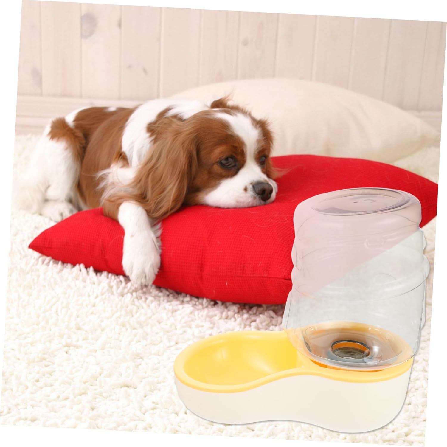 1pc Automatic Pet Water Dispenser for Cats and Dogs Slanted Design Easy to Durable and Break Bowl Slip Base for Steady Feeding