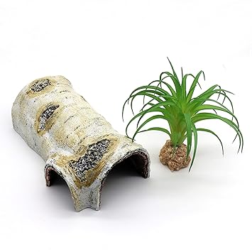 Birch Tree Bark Trunk Habitats Decor Reptile Hides and Caves Aquarium Decoration Wood for Lizard Geckos Snake Spiders Frogs Turtle (Small)