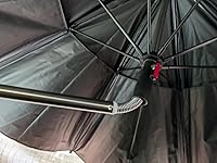 Review Image by Francis Francis