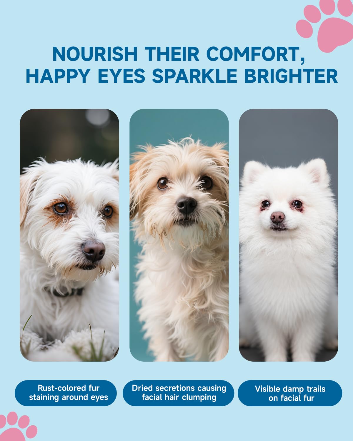 Removedor de Manchas de lágrimas para Perros, Suplemento para Manchas de lágrimas en Perros, para la Salud Ocular y el Cuidado del Pelaje Blanco, con Luteína, Manzanilla, Mezcla de Probióticos, 100g