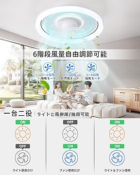 Amazon.co.jp: ZXhome