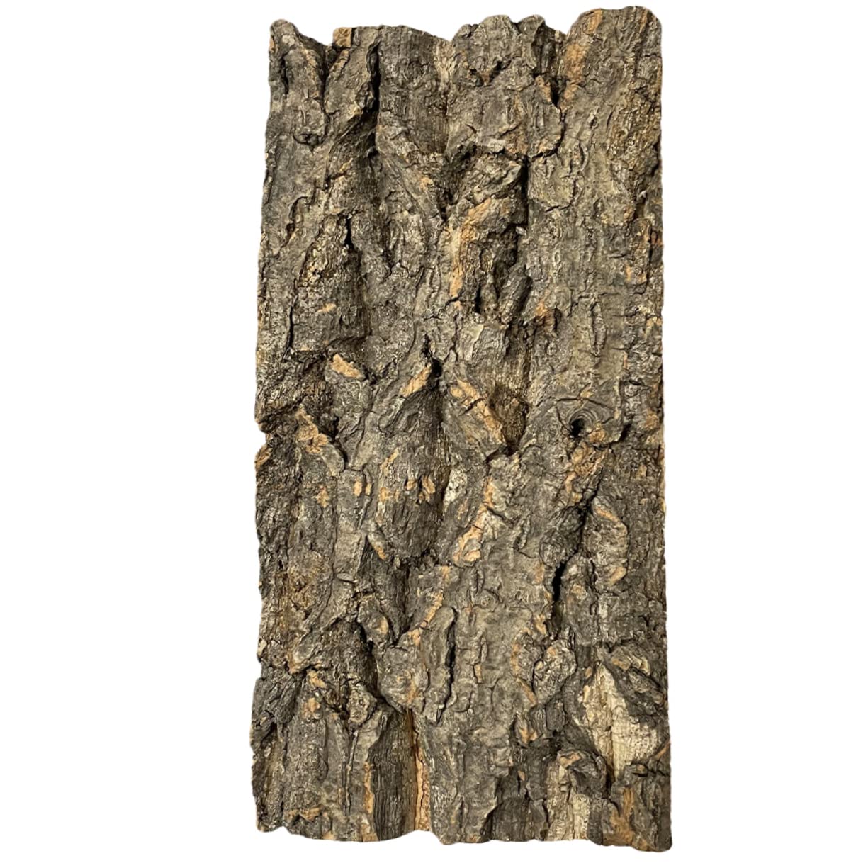 BESPORTBLE 10piezas Reptile Bark Backdrop para y Terrarios Natural De para Decoración De Peceras y Reptiles y