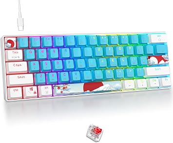 Fogruaden 60 Percent Keyboard Mechanical, Gaming Keyboard 60 Percent, RGB Backlit, Mini Wired 60% Keyboard with Red Switch for Win/Mac PC Laptop Blue, Red Switch