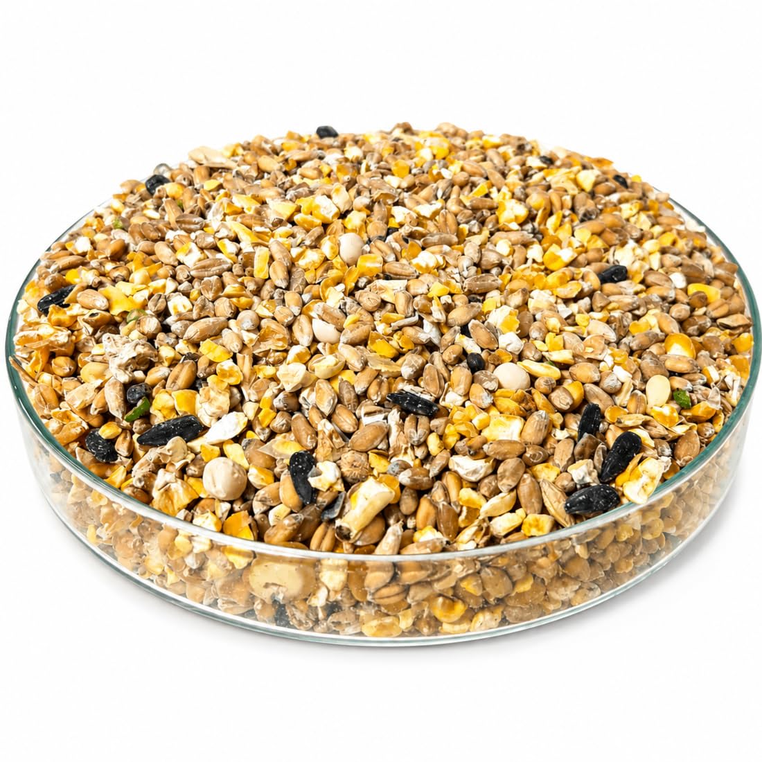 Scar Eco Mangimi per pollame Acti Mangime galline ovaiole Bio 25 kg