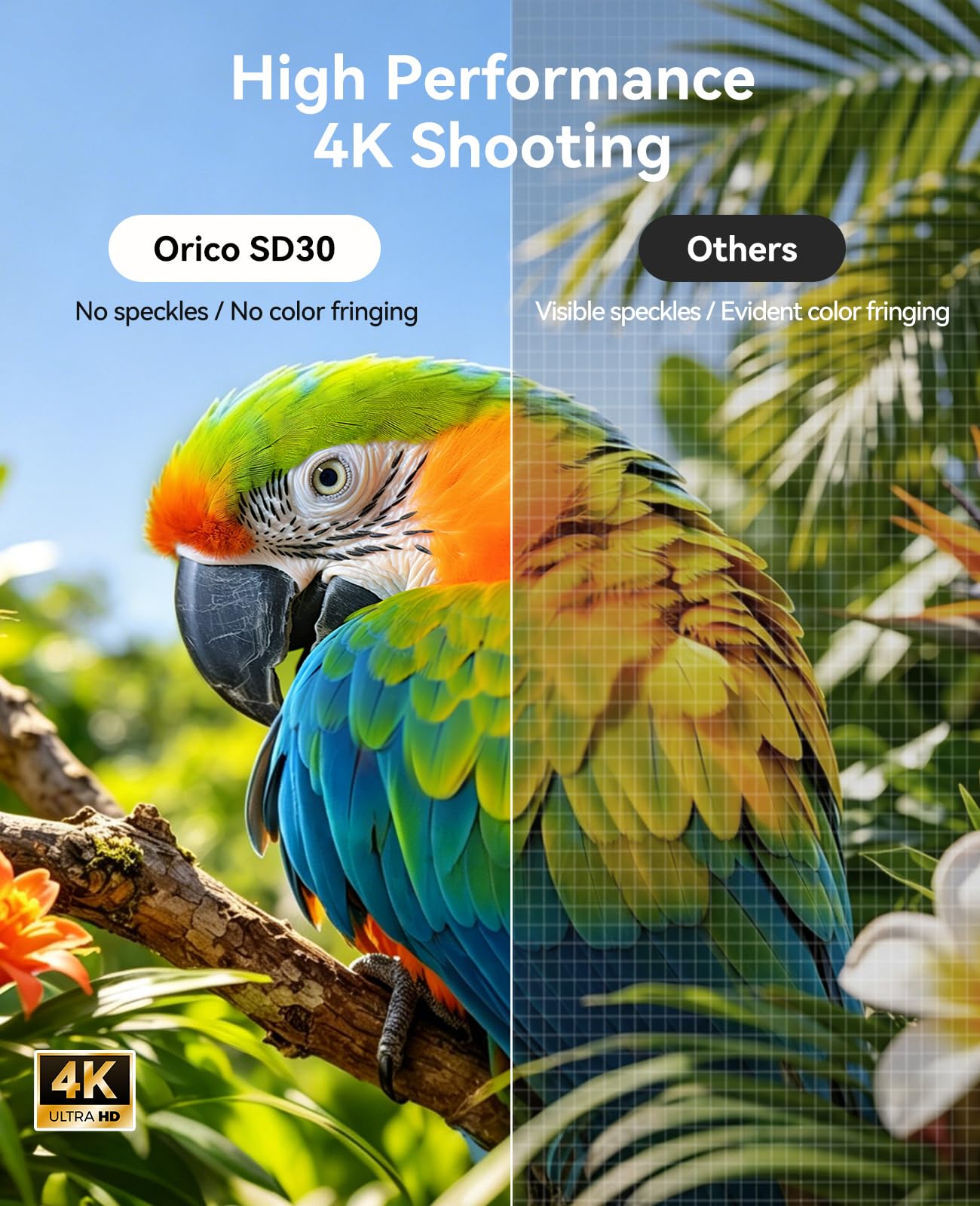 ORICO Scheda SD da 128 GB, UHS-I, C10, U3, V30, Full HD, 4K, Velocità di Lettura fino a 100 MB/s, Scheda di Memoria SDXC per Fotocamere DSLR e Mirrorless Canon, Nikon, Sony, Fujifilm – SD30