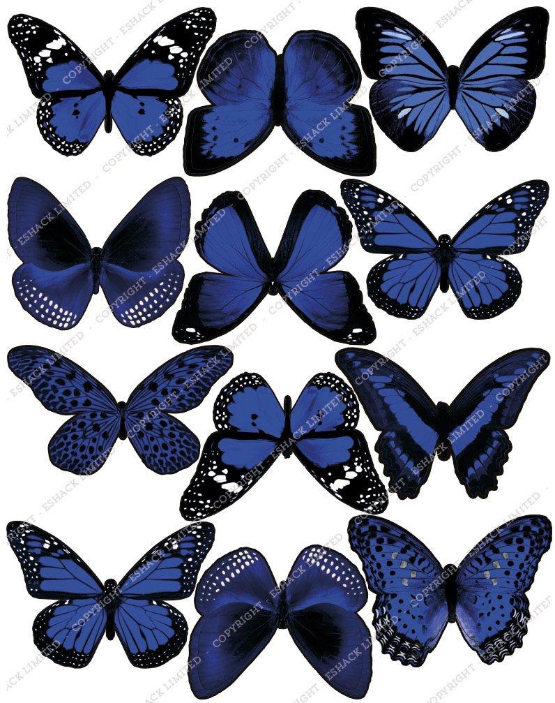 Cakeshop Pre-Cut Blue Cakeshop 12 X Pre-Cut Edible Butterfly Cake Toppers