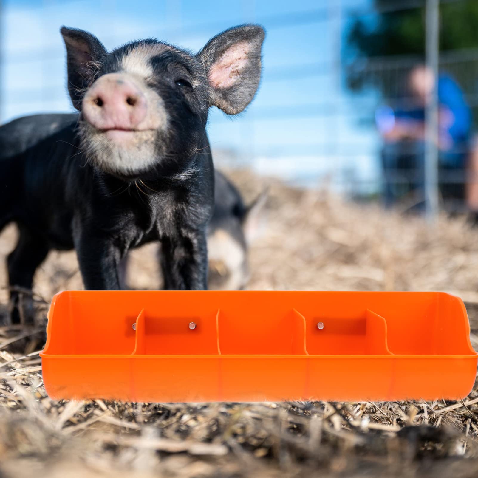 Wall Mount Piglet Feeding Station 5-Compartment Plastic Livestock