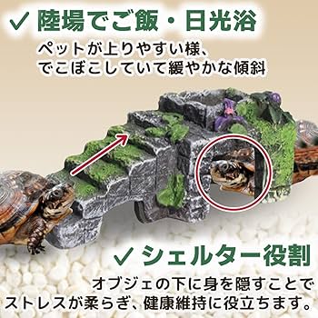 Amazon | dodtazz 爬虫類 シェルター 隠れ家 水槽 亀 飼育 階段