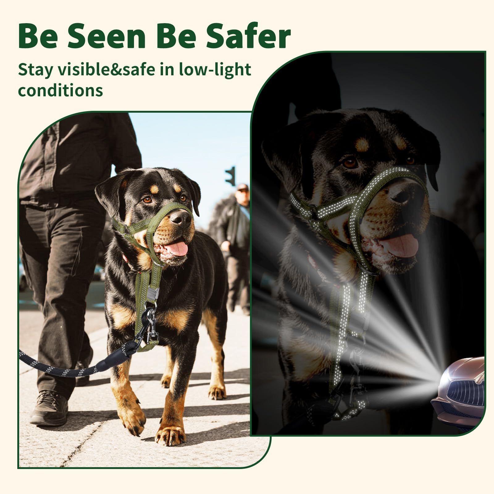 BARKLESS Sturdy No Pull Head Collar for Medium Large Dogs, Gentle Reflective Head Halter with Safety Link, Adjustable Nylon Dog Training Muzzle Leash for Walking Control (Green, L) - image 6