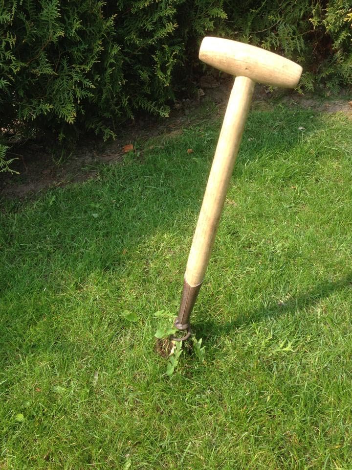 Desyerbador DeWit de acero templado 22.25" con mango T miniatura 4