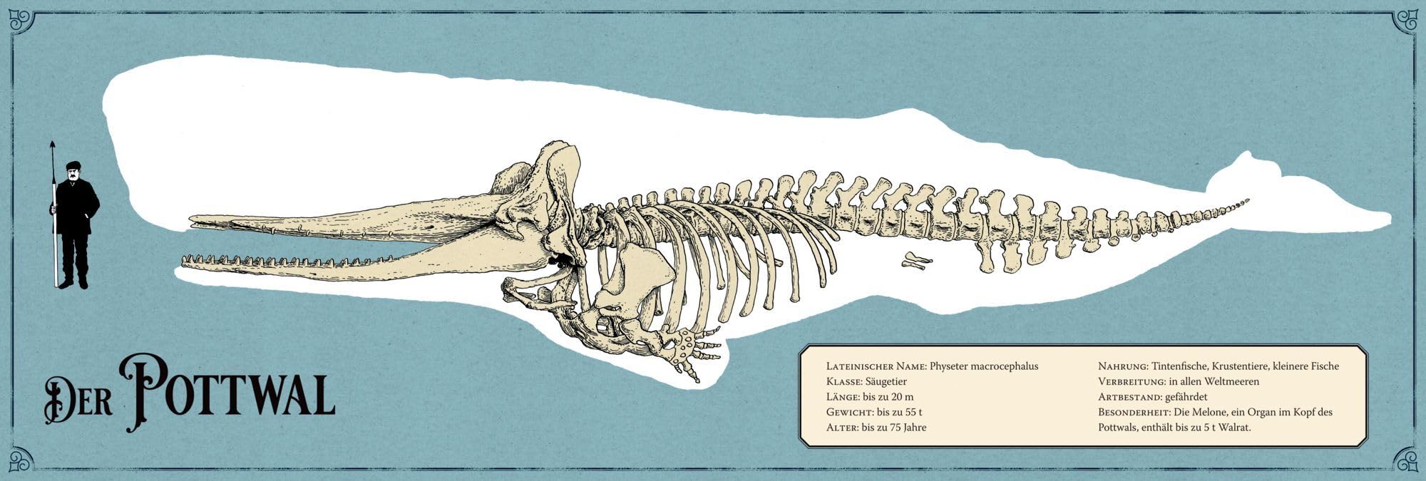 Moby Dick: oder Der Wal: Abenteuer-Klassiker mit 10 aufwendig gestalteten Extras. Durchgehend handillustriert, mit Leseband (Große Schmuckausgabe)