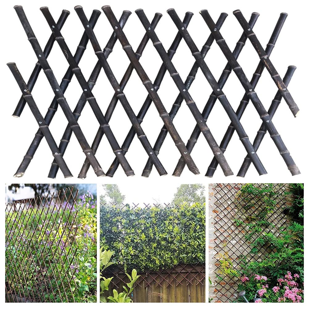Treillis pour plantes grimpantes pour redresser les tiges tombantes au jardin