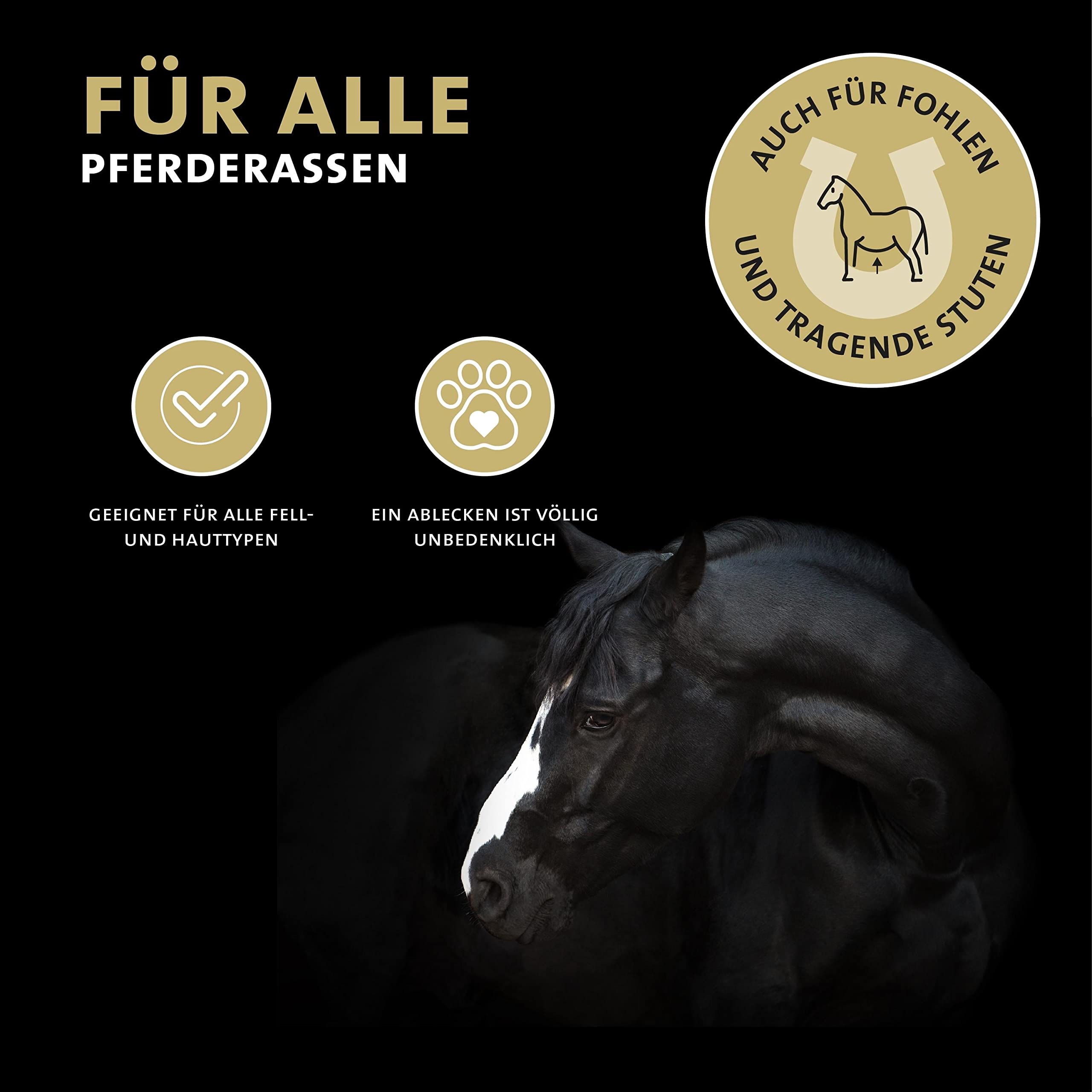 Peticare Anti-Parasiten Mittel für Pferde | gegen Milben Flöhe Pilze | lindert effektiv Juckreiz & unterstützt Regenerationsprozess, einzigartiges PRS® System für lange Wirkung – petHorse Protect 2002