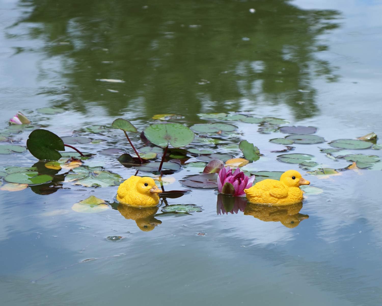 CFSky Yellow Resin Floating Duck Figurine, Set of 2, 11.5 x 7 x 6 cm, Garden Decoration - Image 5