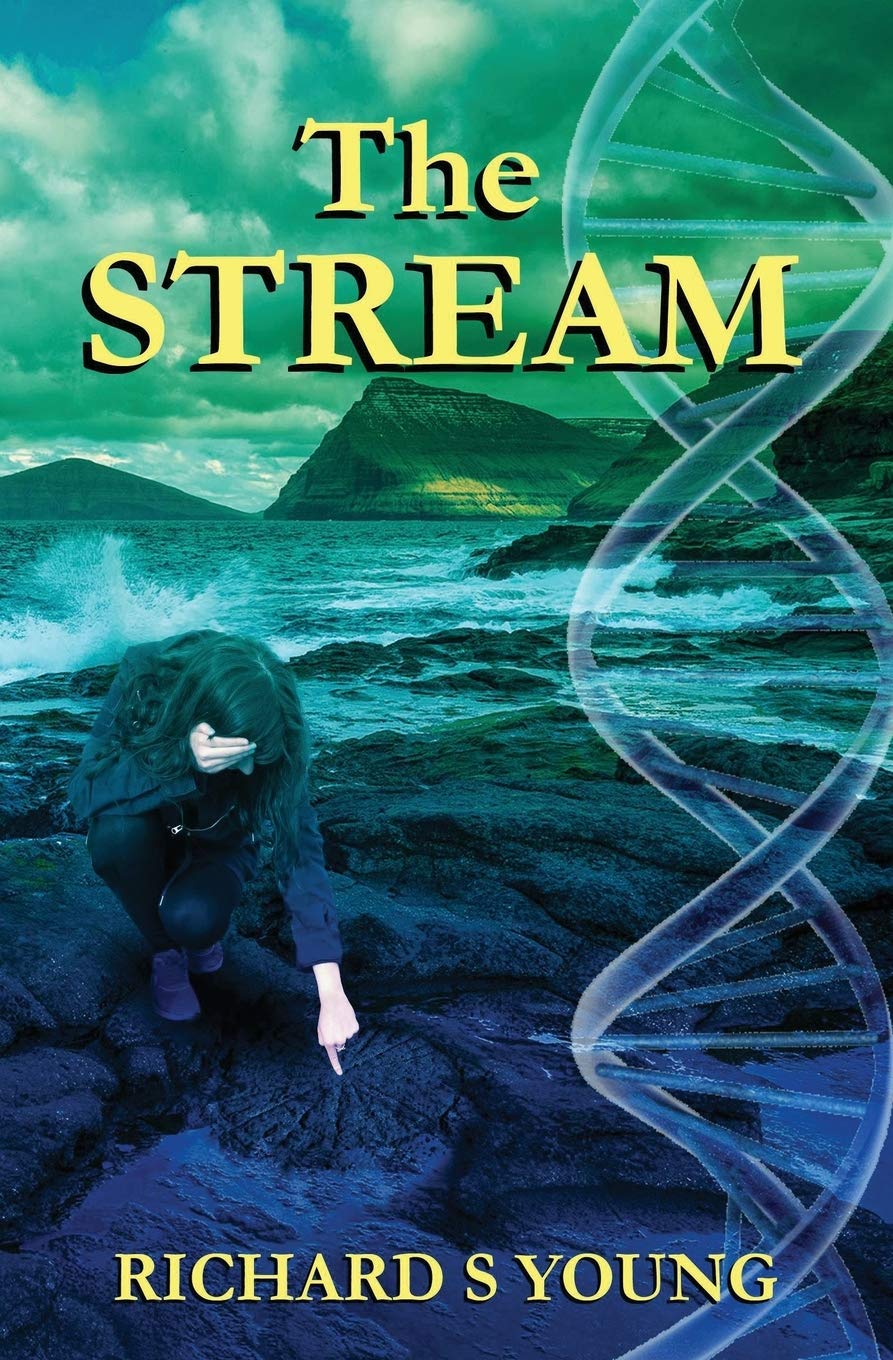 The Stream By Richard S Young