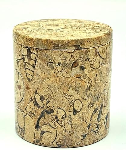 Miniatura 1 de KhanImports Caja decorativa de piedra de coral, regalo tradicional de coral para aniversario de 35 años